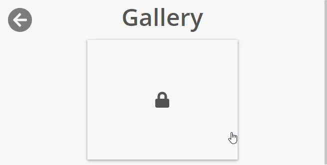 The default Gallery screen with one image, with that one image being locked.